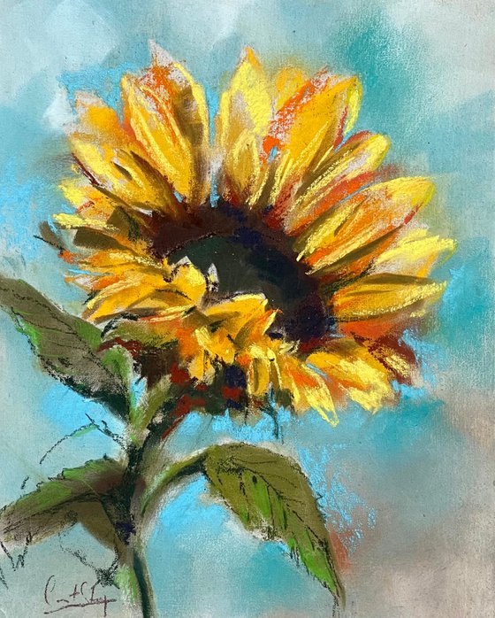 Sunflowers Soft Pastels Drawing