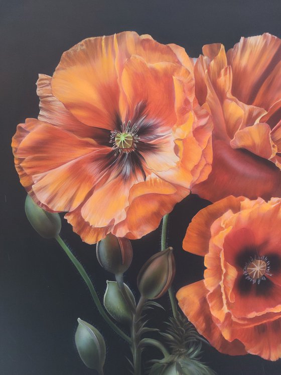 Realism poppies acrylic, Realism painting flowers,  flower art,  painting hyperrealism