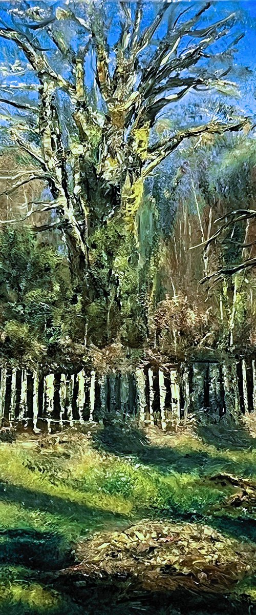 Knighwood Oak by Kamil Woj