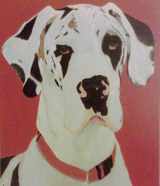 MERLIN - HARLEQUIN GREAT DANE (Commissioned Pet Portrait)