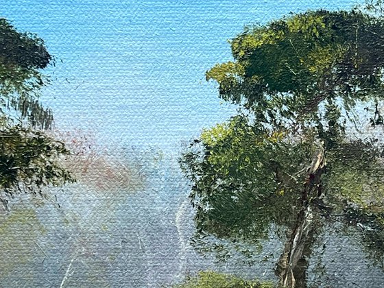 Canada Common New Forest