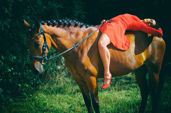 The Lady and the Horse