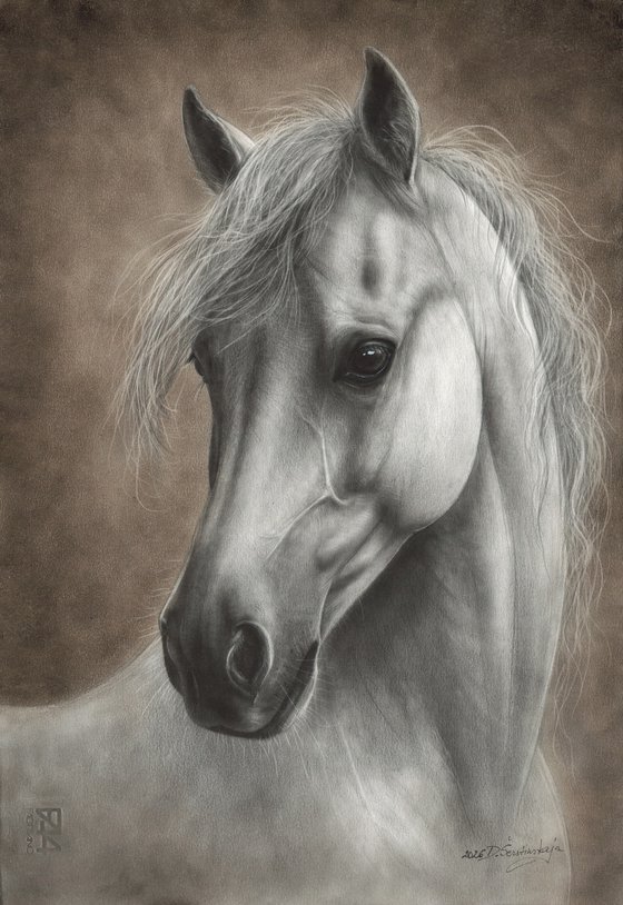 Silent Soul