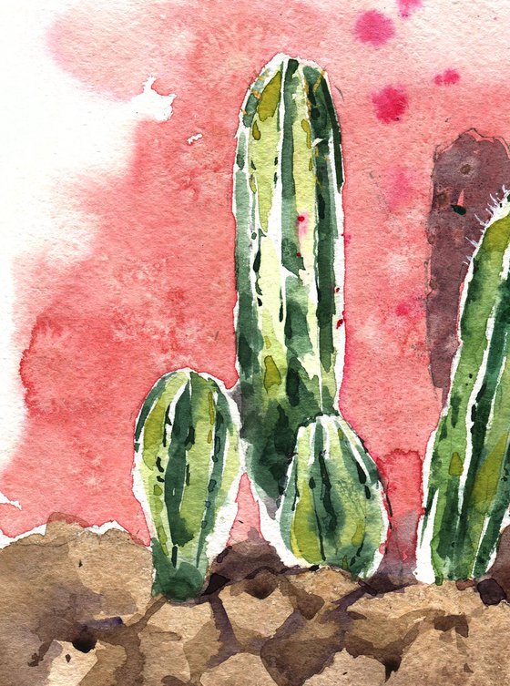 Watercolor sketch "Cacti against a bright wall" original illustration