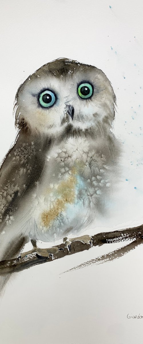 Little owl on a branch #3 by Eugenia Gorbacheva