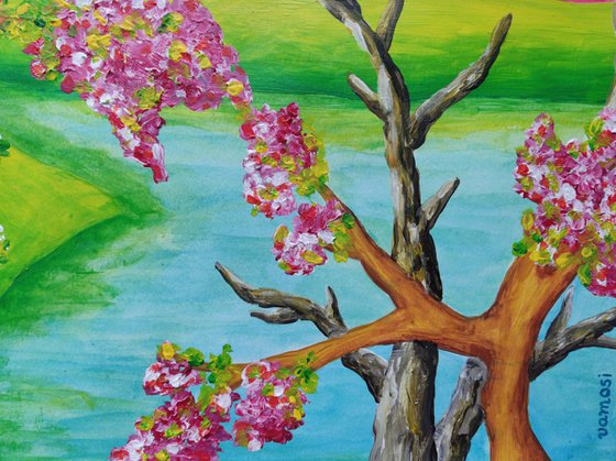 Blossomnig cherry trees