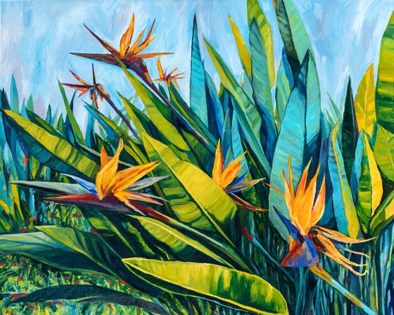 "BIRDS OF PARADISE"