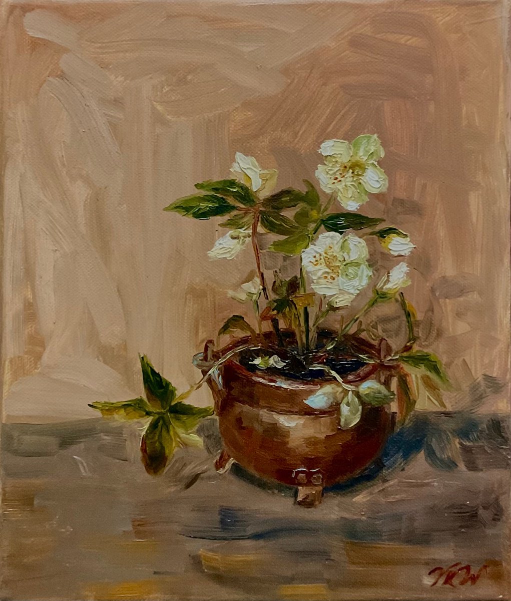 Impressionistic Botanical Oil Painting By Vera Klimova, 10 X 12", Hellebore, Original Artwork