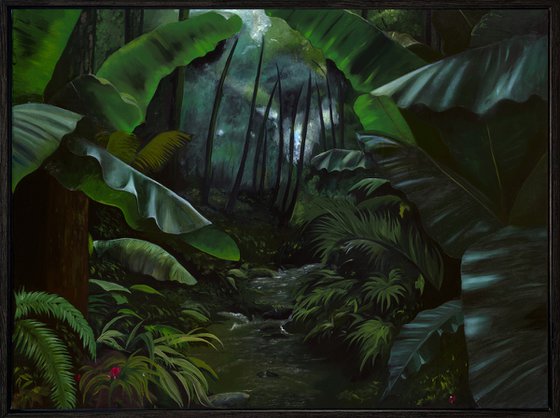 Light Through the Rainforest