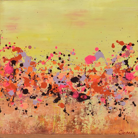 Sunkist Coral 1