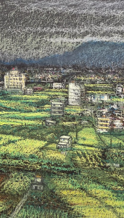 Looking Across the Lanyang Plains, Yilan by David Lloyd