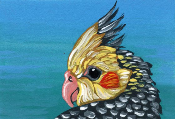 ACEO ATC Original Miniature Painting Cockatiel Parrot Pet Bird Art-Carla Smale