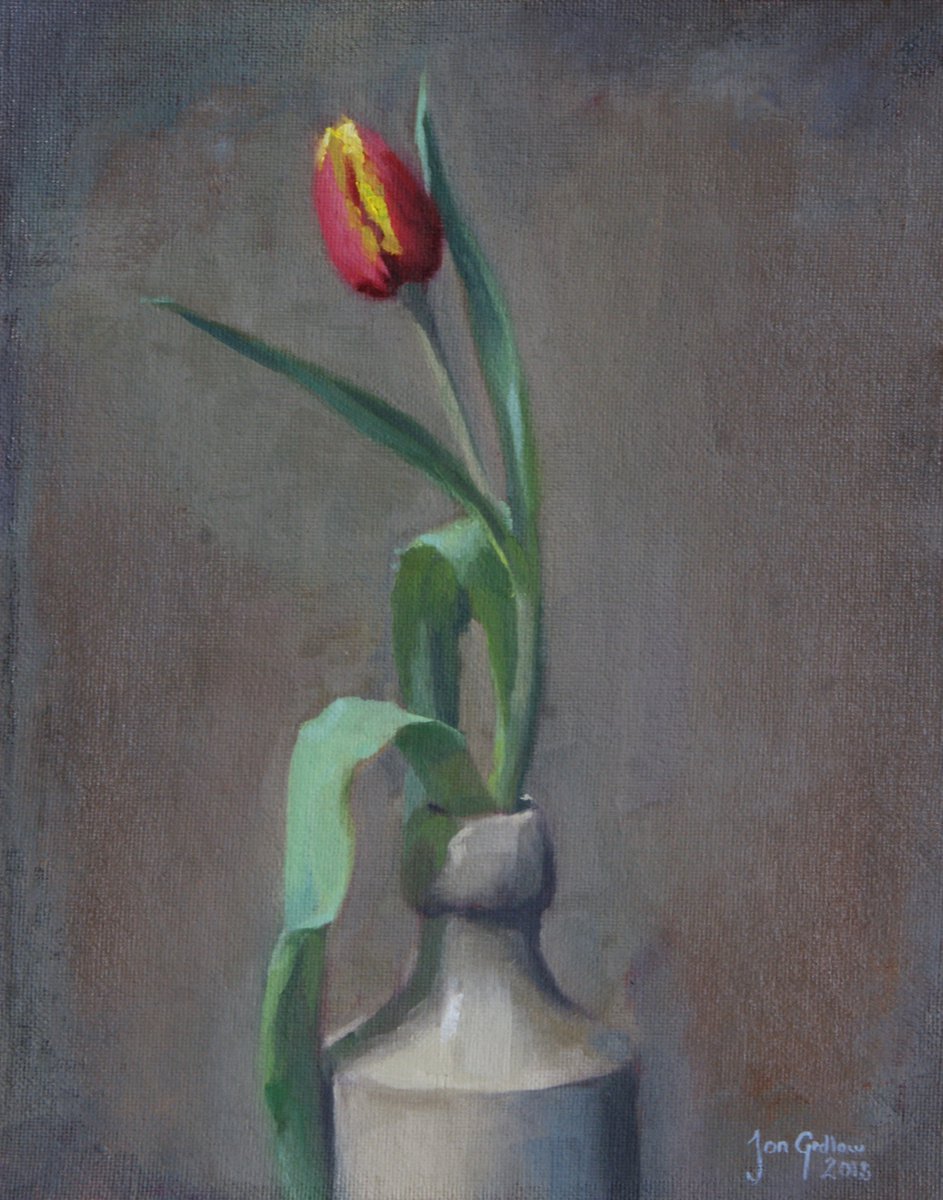 Solo Tulip by Jon Gidlow