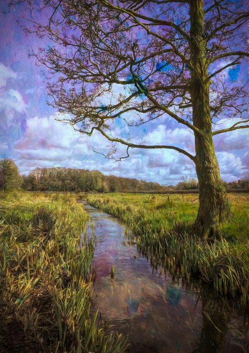 Meadow Stream by Martin  Fry