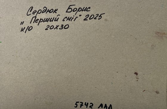 Snowy Road in the Forest