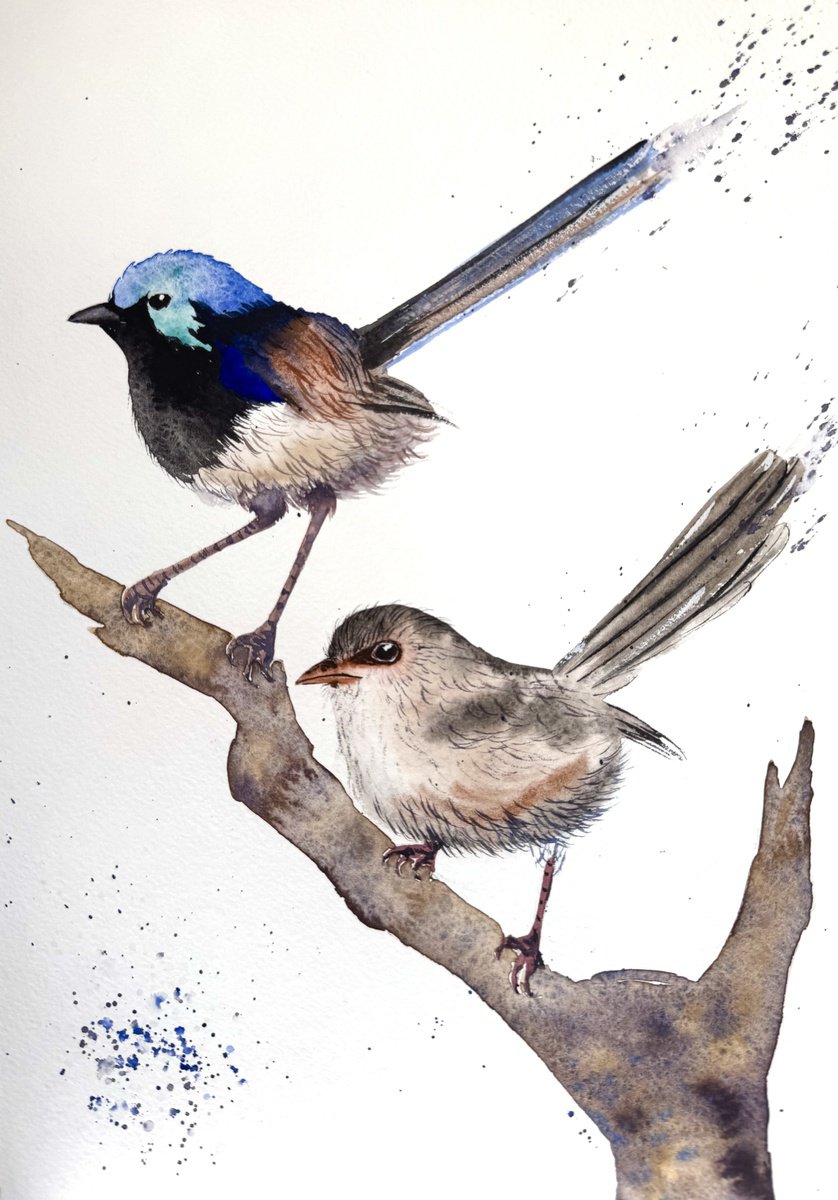 Impressionistic Animal Watercolour By Yuliia Sharapova, 12 X 16", Pair Purple-Backed Fairy-Wrens, Original Artwork