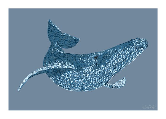 Humpback Whale - Stippling Illustration