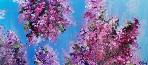 50 shades of juicy scarlet in bougainvillea. Triptych. 54x24 cm. 50 sfumature di succoso scarlatto in bouganville