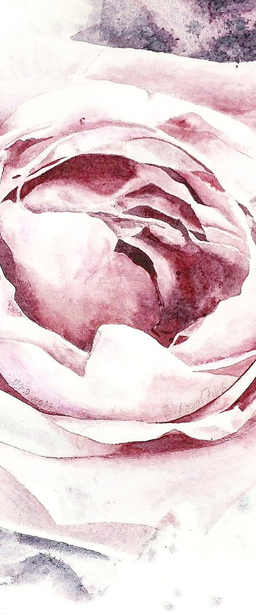 Terrific Fragrance Of The Rose by Alona Hryn