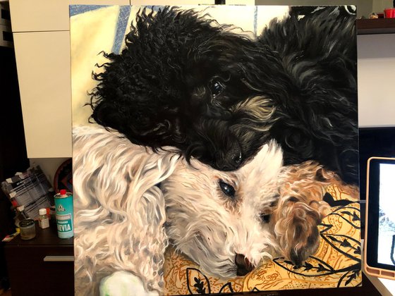 Soulmates in Curls (Commissioned Portrait)