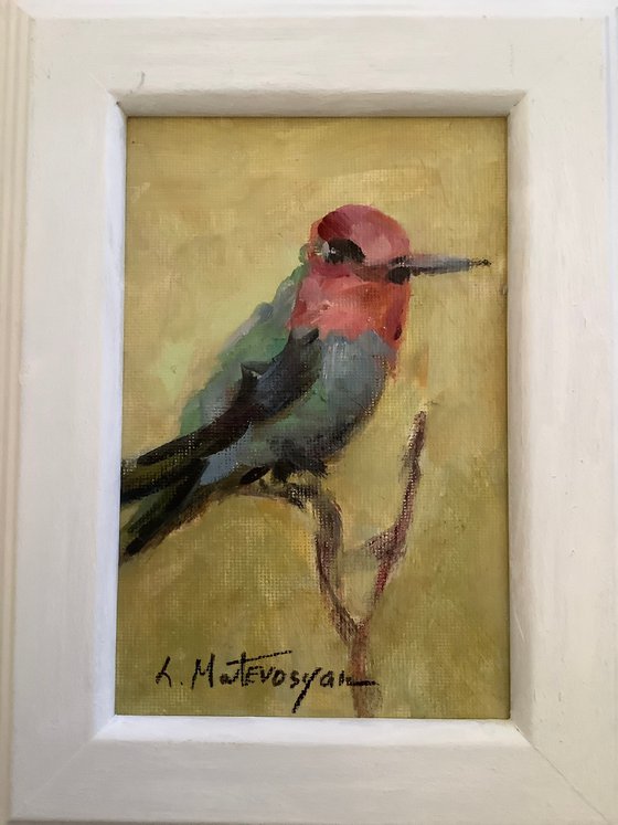 Hummingbird