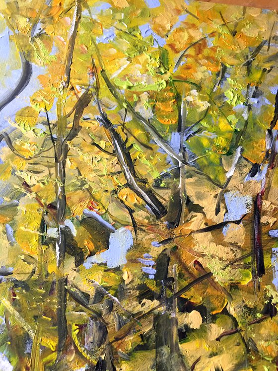 Autumn Glory
