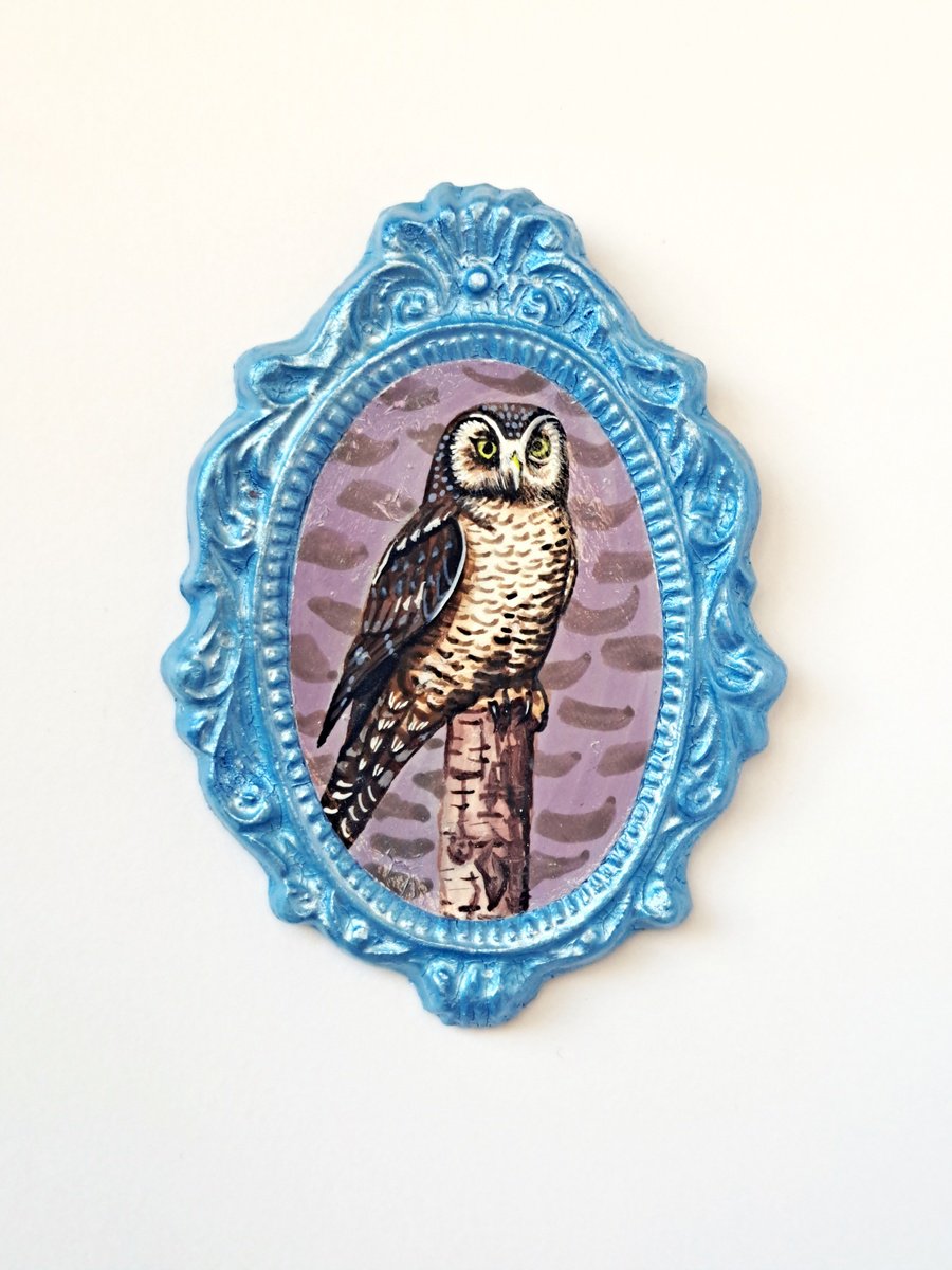 Northern hawk owl, part of framed animal miniature series festum animalium by Andromachi Giannopoulou