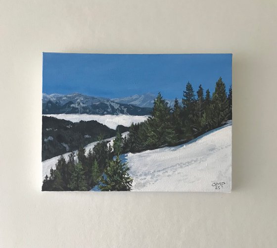 Sunlit Firs