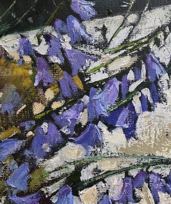 Blue bells