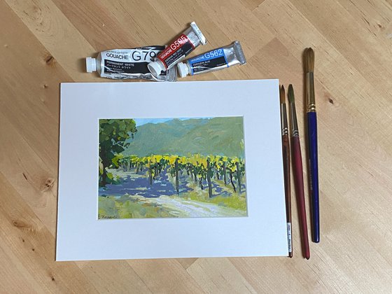 Carmel Valley Vines Landscape