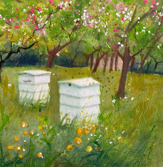 Beehives bees & blossom