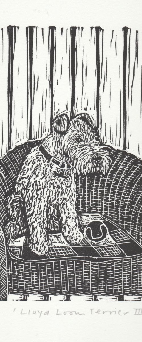 Lloyd Loom Terrier III by Caroline Nuttall-Smith