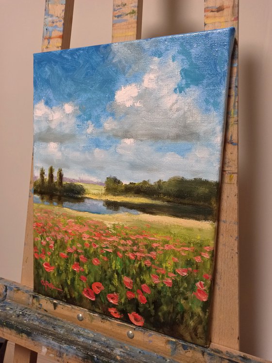 Summer impression. Poppies