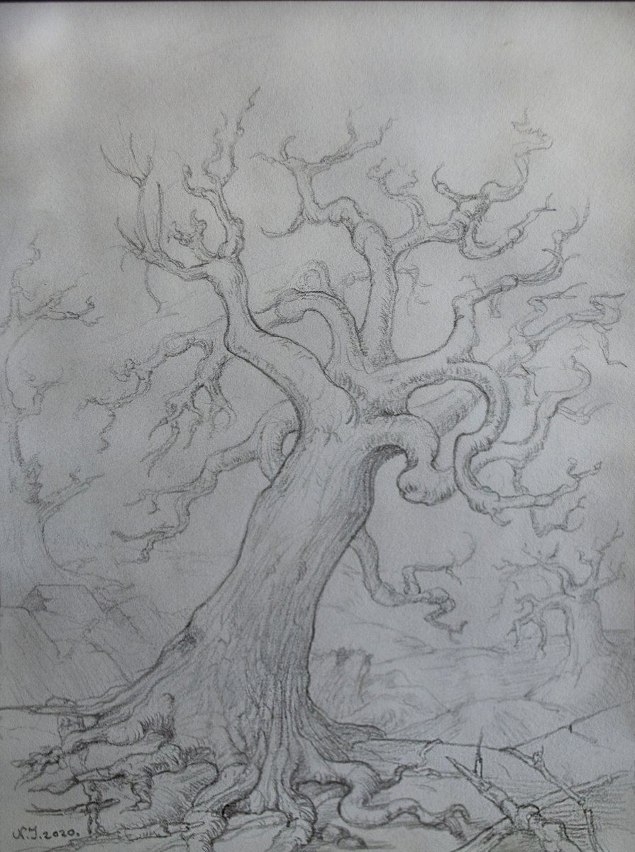 Hangman`s Tree II by Nikola Ivanovic