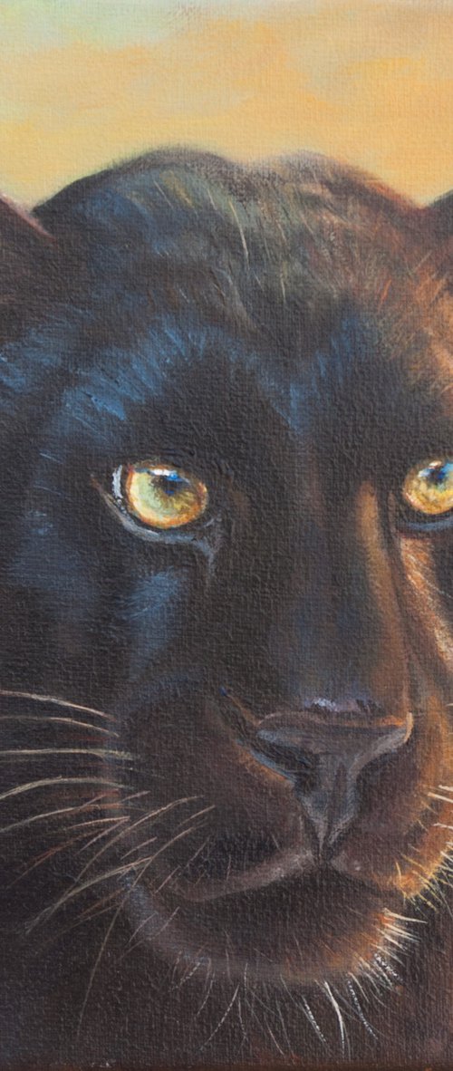 Black panther portrait by Norma Beatriz Zaro