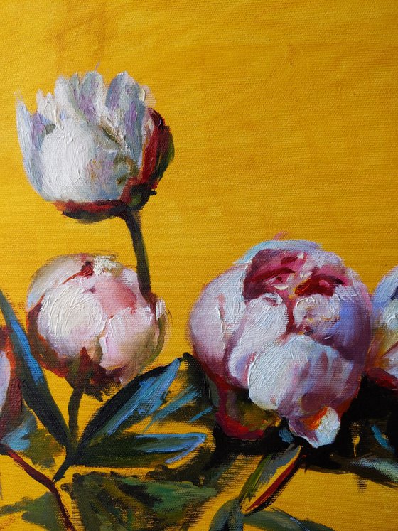 Peonies on the golden yellow