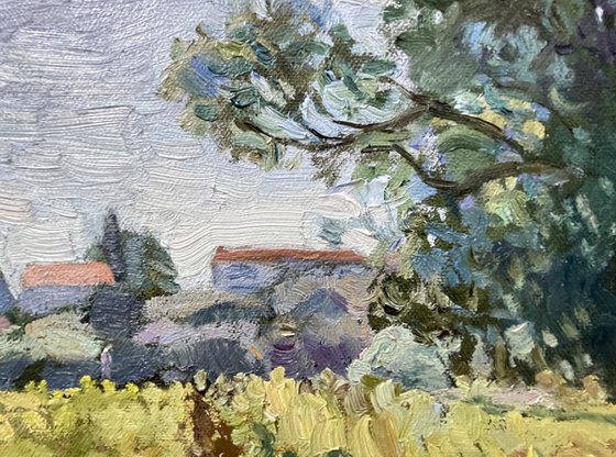 At the Vineyard’s Edge.