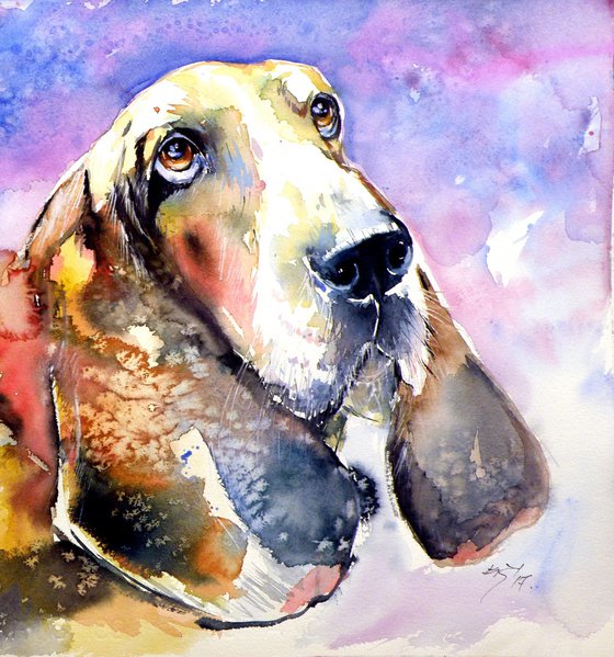 Cute basset hound