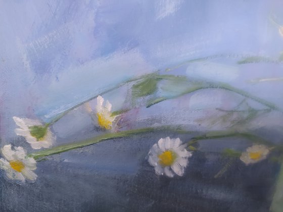 Tansy and daisies