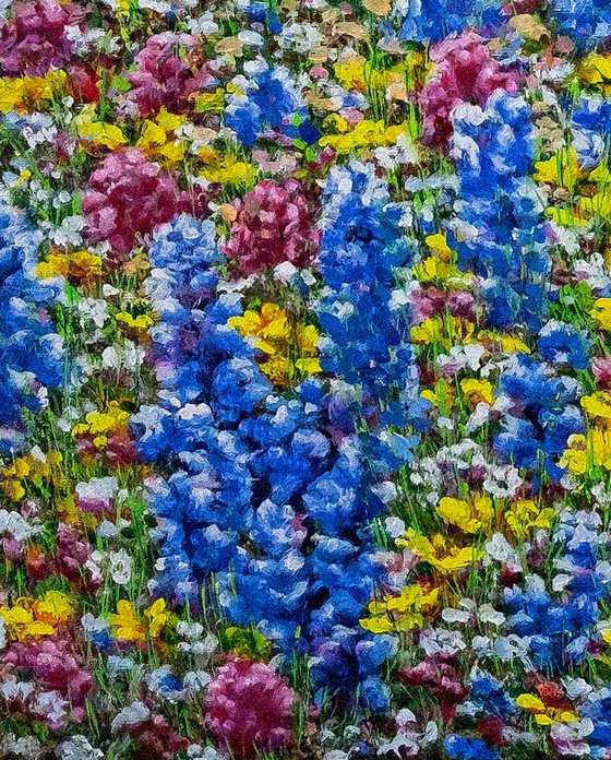 A Field of Flowers.