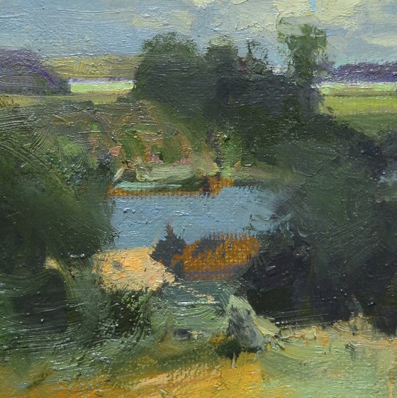 Summer Reflections