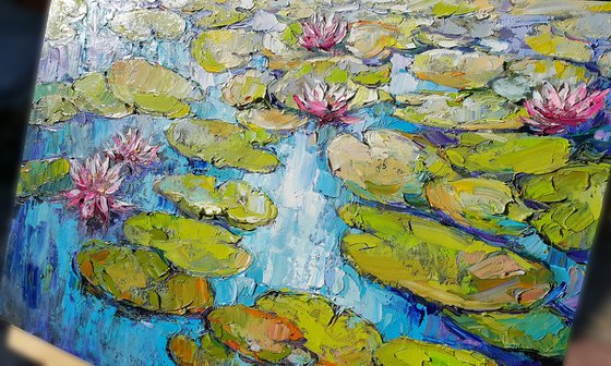 Water lilies pond