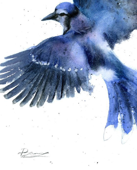 Blue Jay in Flight - Diptych