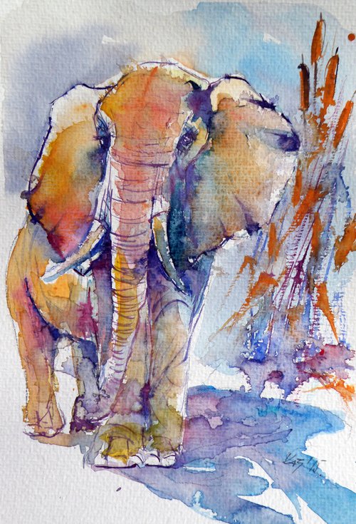 Elephant by Kovács Anna Brigitta