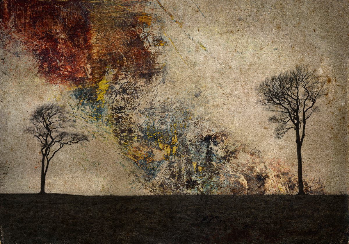 Landscape Photograph By Claire Newman-Williams, 24 X 18, Twister, Original Artwork