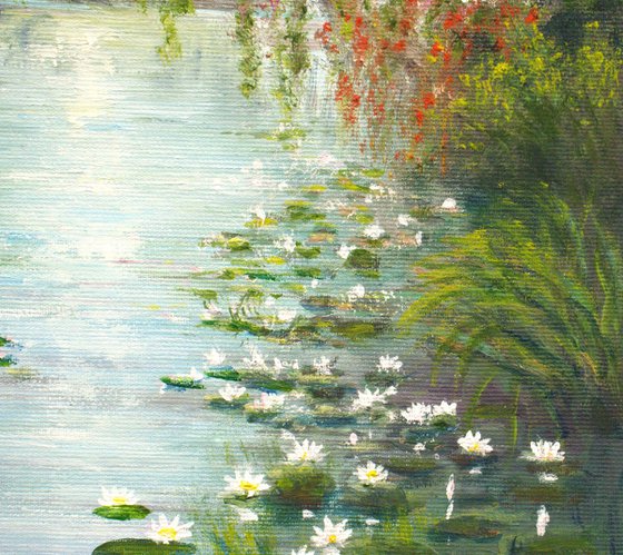 Water lily pond
