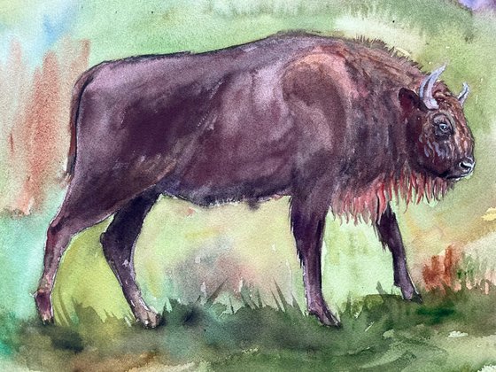 Bull Watercolour Painting, Buffalo Artwork, Bison Cow Wall Art, Farm Animal Art