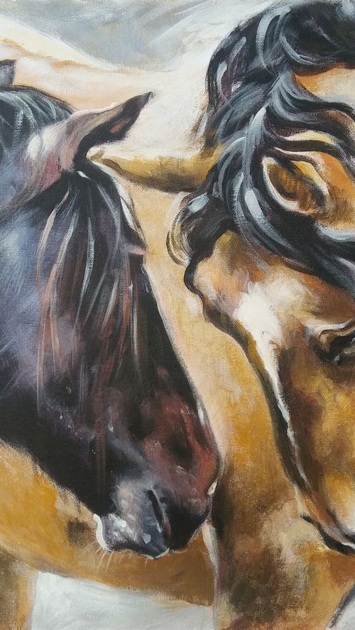 Wild horses by Magdalena Palega