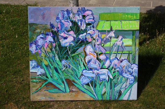" Irises "
