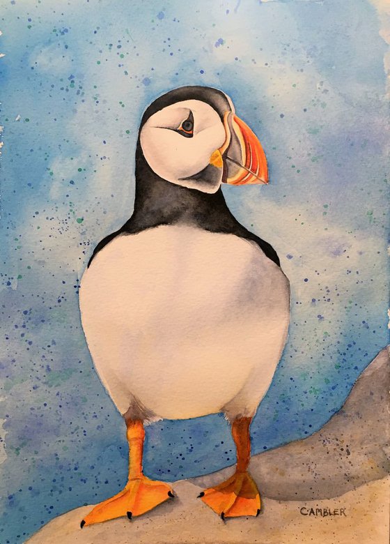 Perky Puffin - Framed Watercolour